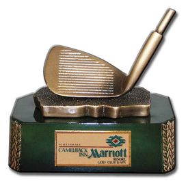 Iron Clubhead Golf Award