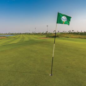 14" x 20" Custom Double Sided Golf Flag with Tube