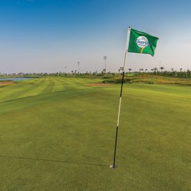 14" x 20" Double Sided Golf Flag with Heading and Grommets