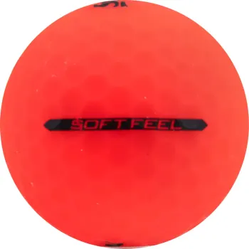 Alternate Image4