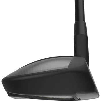 Alternate Image1