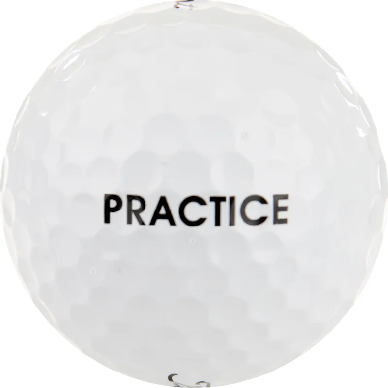 Titleist Prior Generation Pro V1 Practice Golf Balls - Golfballs.com